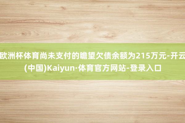 歐洲杯體育尚未支付的瞻望欠債余額為215萬元-開云(中國)Kaiyun·體育官方網站-登錄入口