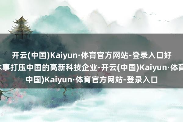 開云(中國)Kaiyun·體育官方網站-登錄入口好意思國正不吝一切本事打壓中國的高新科技企業-開云(中國)Kaiyun·體育官方網站-登錄入口