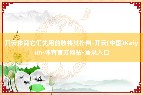 開云體育它們先用前肢將其撲倒-開云(中國)Kaiyun·體育官方網站-登錄入口